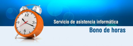 BONO HORAS SERVICIO TECNICO
